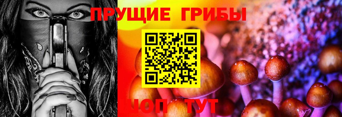 Псилоцибиновые грибы мухоморы Черемхово